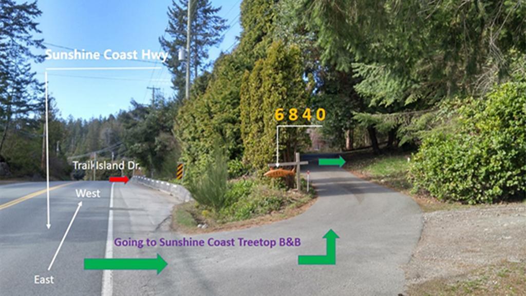 Sunshine Coast Treetop B&B Сешелт Экстерьер фото