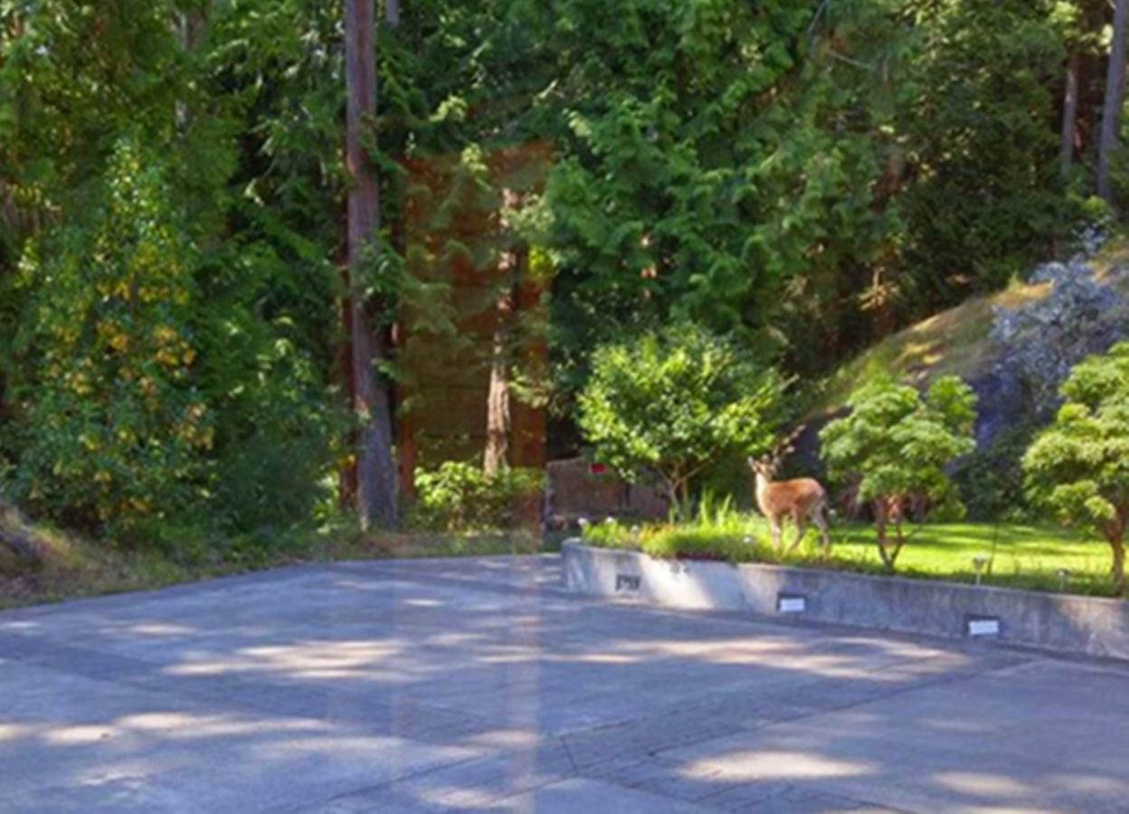 Sunshine Coast Treetop B&B Сешелт Экстерьер фото