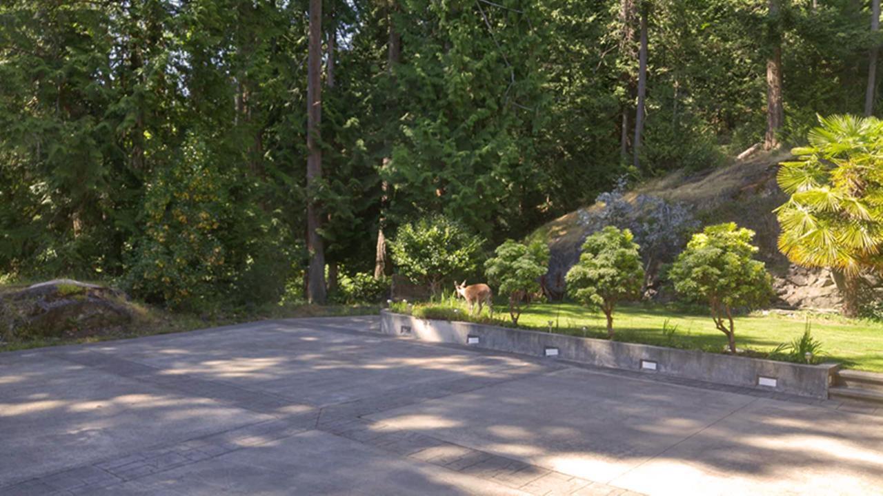 Sunshine Coast Treetop B&B Сешелт Экстерьер фото
